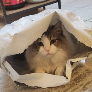 Meet your Posher, Julia